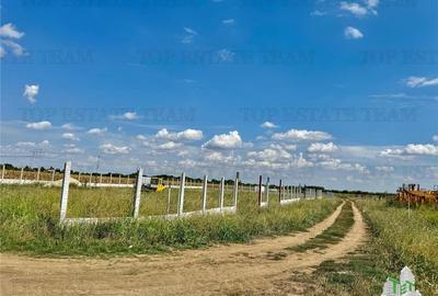 Teren Construcții intravilan de 40500 mp, în Frumușani - 1