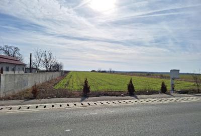 Teren Construcții intravilan de 9788 mp, în Crevedia