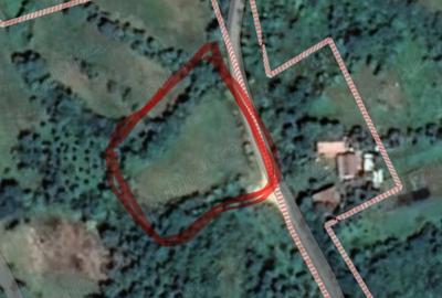 Teren de 1300 mp, în Lopadea Nouă - 1