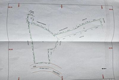 Teren de 5500 mp, în Buhalnița - 3