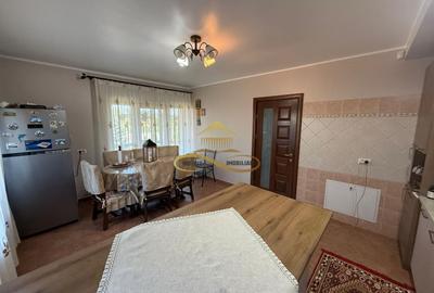 Casă individuală cu 5 camere cu Teren 1800 Mp în Măgura - 18