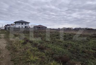 Teren de 753 mp, în Nufărul - 1