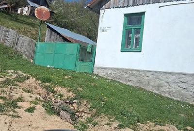 Casă cu Teren 4000 Mp în Central - 3