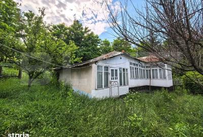 Casă cu 4 camere cu Teren 3000 Mp în Răducăneni - 3