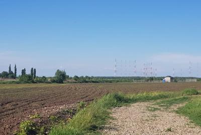 Teren Construcții intravilan de 977 mp, în Ciolpani - 6