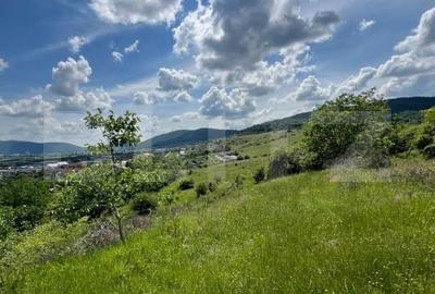 Teren de 3000 mp, în Viișoara - 1