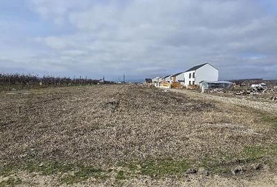 Teren de 400 mp, în Potoceni - 3