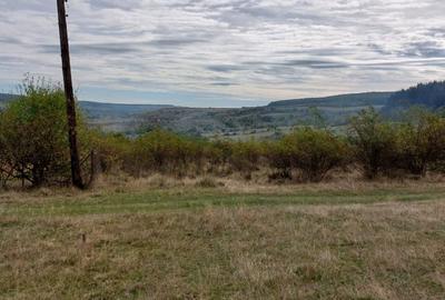 Teren Construcții intravilan de 750 mp, în Corușu - 4
