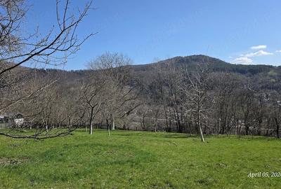 Teren de 1600 mp, în Podul lui Neag