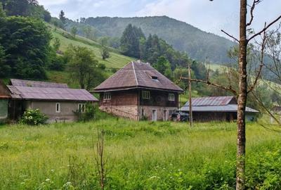 Casă cu 4 camere cu Teren 8700 Mp în Jojei - 1