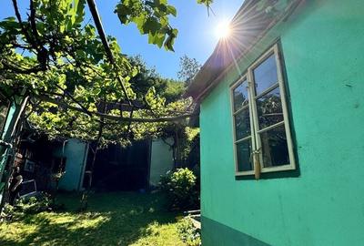 Casă cu 3 camere în Gura Râului