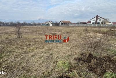 Spațiu comercial, în Partoș