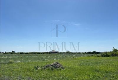 Teren de 799 mp, în Moșnița Nouă - 2