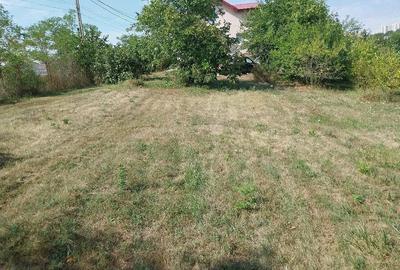 Casă cu Teren 1500 Mp în Central