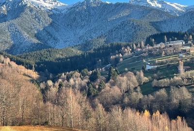 Teren de 10000 mp, în Bran - 7