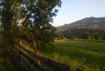 Teren intravilan de 5360 mp, în Tiha Bârgăului - 7