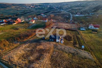 Teren agricol intravilan de 2500 mp, în Nord - 4