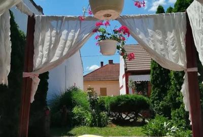Casă cu 3 camere cu Teren 902 Mp în Bogdăneștilor - 6