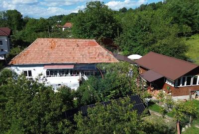 Casă individuală cu 4 camere cu Teren 3765 Mp în Mihăești - 2