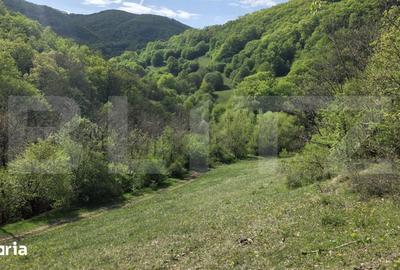 Teren de 9083 mp, în Meteș - 9