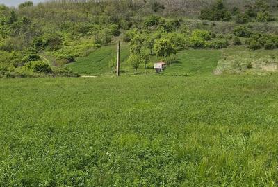 Teren de 5000 mp, în Vrănești - 1