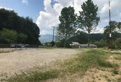 Teren Construcții intravilan de 9250 mp, în Bujoreni - 1