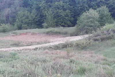 Teren de 807 mp, în Schiau - 1