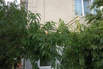 Casă cu 9 camere cu Teren 930 Mp în Central