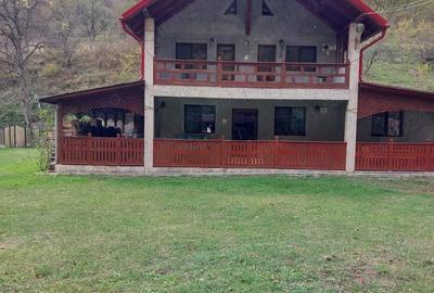Casă cu 3 camere cu Teren 2000 Mp în Toplița - 9