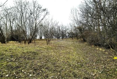 Teren agricol intravilan de 2623 mp, în Est - 7