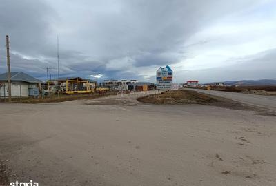 Teren de 9000 mp, în Est - 7