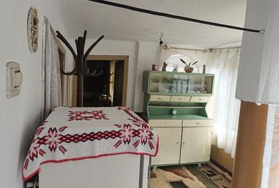 Casă cu 2 camere în Malu cu Flori