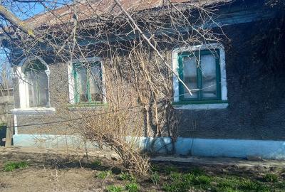 Casă cu Teren 2020 Mp în Dragoș Vodă - 5