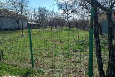 Teren de 2500 mp, în Scorțeni - 5