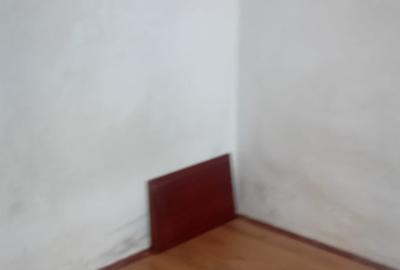Casă individuală cu 4 camere cu Canalizare în Giulești - 2