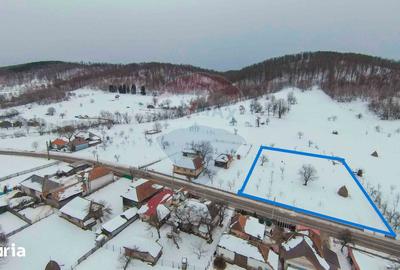 Teren de 3000 mp, în Bratca - 4
