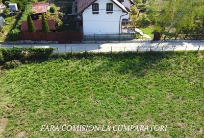 Teren Construcții intravilan de 626 mp, în Vlădești - 6