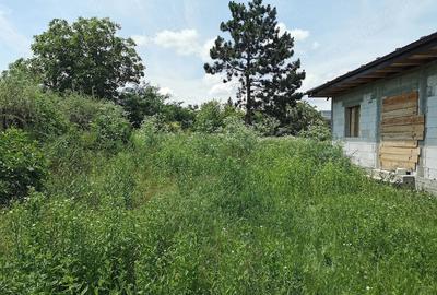 Casă cu Teren 500 Mp în Horlești - 3