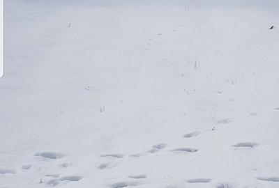 Teren de 900 mp, în Valea Sălciilor - 2