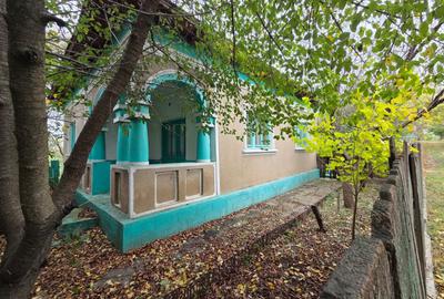 Casă cu 4 camere cu Teren 2308 Mp în Valea Nucarilor