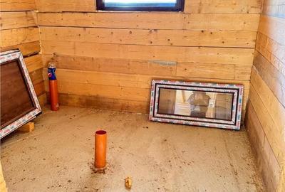 Casă cu 4 camere cu Teren 1500 Mp în Horea - 13