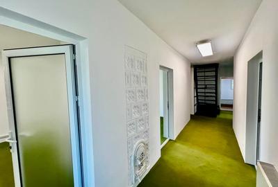 Casă individuală cu 5 camere cu Teren 400 Mp în Păcurari - 8