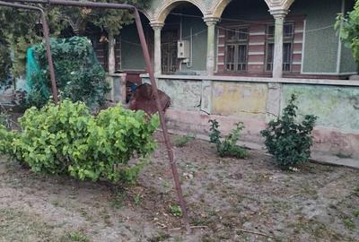 Teren de 1835 mp, în Dârvari - 5