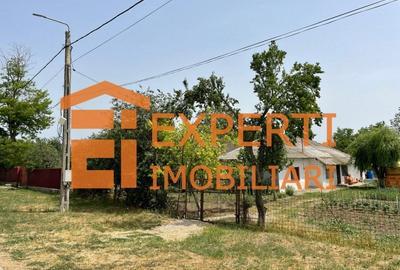 Teren Construcții intravilan de 2581 mp, în Mihail Kogălniceanu - 2