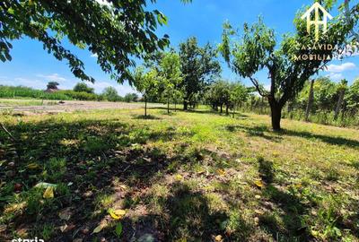 Casă cu 4 camere în Ohaba-Forgaci - 7