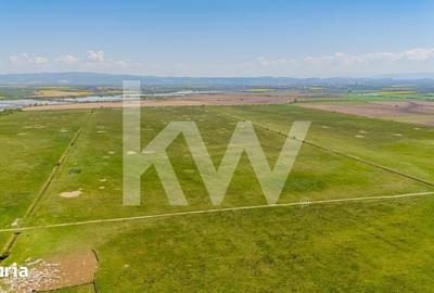 Teren de 4700 mp, în Central - 9