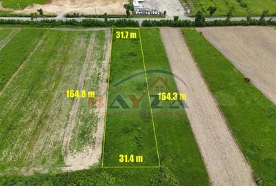 Teren agricol intravilan de 5200 mp, în Ilba - 2