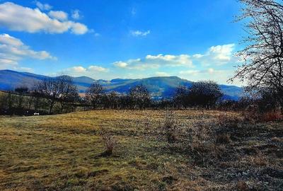Teren de 2900 mp, în Buhoci - 2