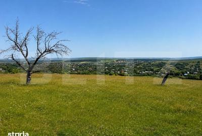 Teren de 4500 mp, în Adâncata