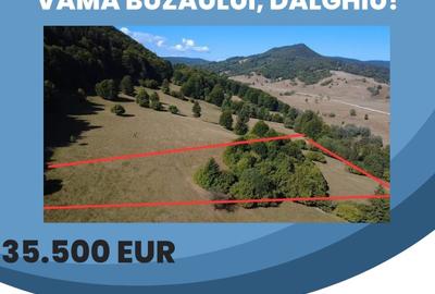 Teren extravilan de 7766 mp, în Dălghiu